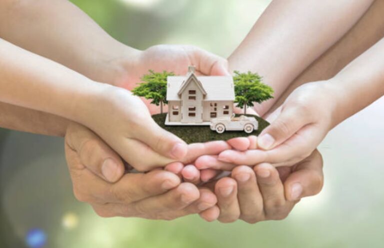 estate agent in Olivedale