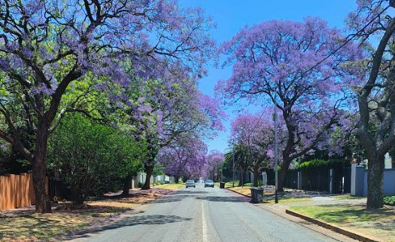 Gauteng’s property market is showing renewed strength & Randburg leads the way. Affordability, activity, and buyer confidence is up for Q3 2025