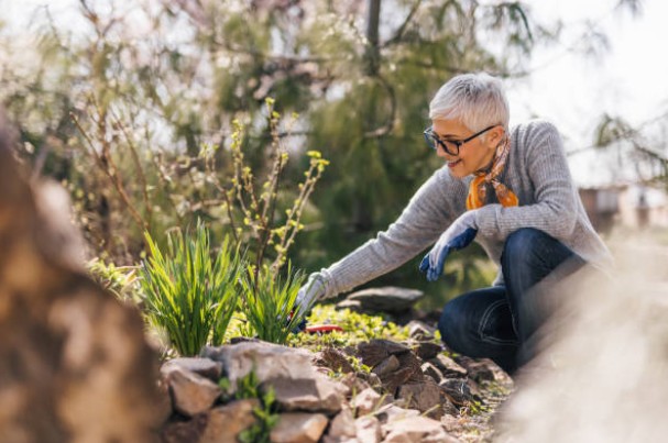 The Boskruin property market sees the highest prices in 10-years. Sellers are seeing record returns. Cornerstone Homes can help you make your move.
